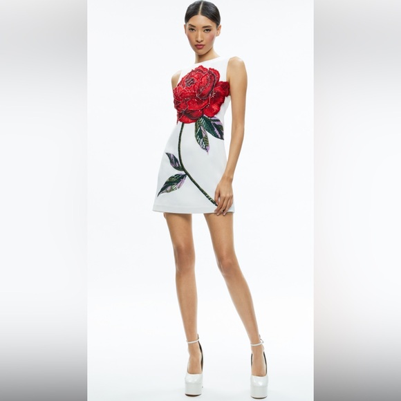 Alice + Olivia Dresses & Skirts - Alice + Olivia by Stacey Bendet White Mini Dress with Red Floral Design